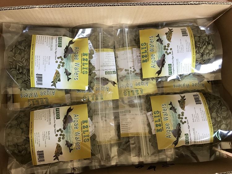 bottom fish food